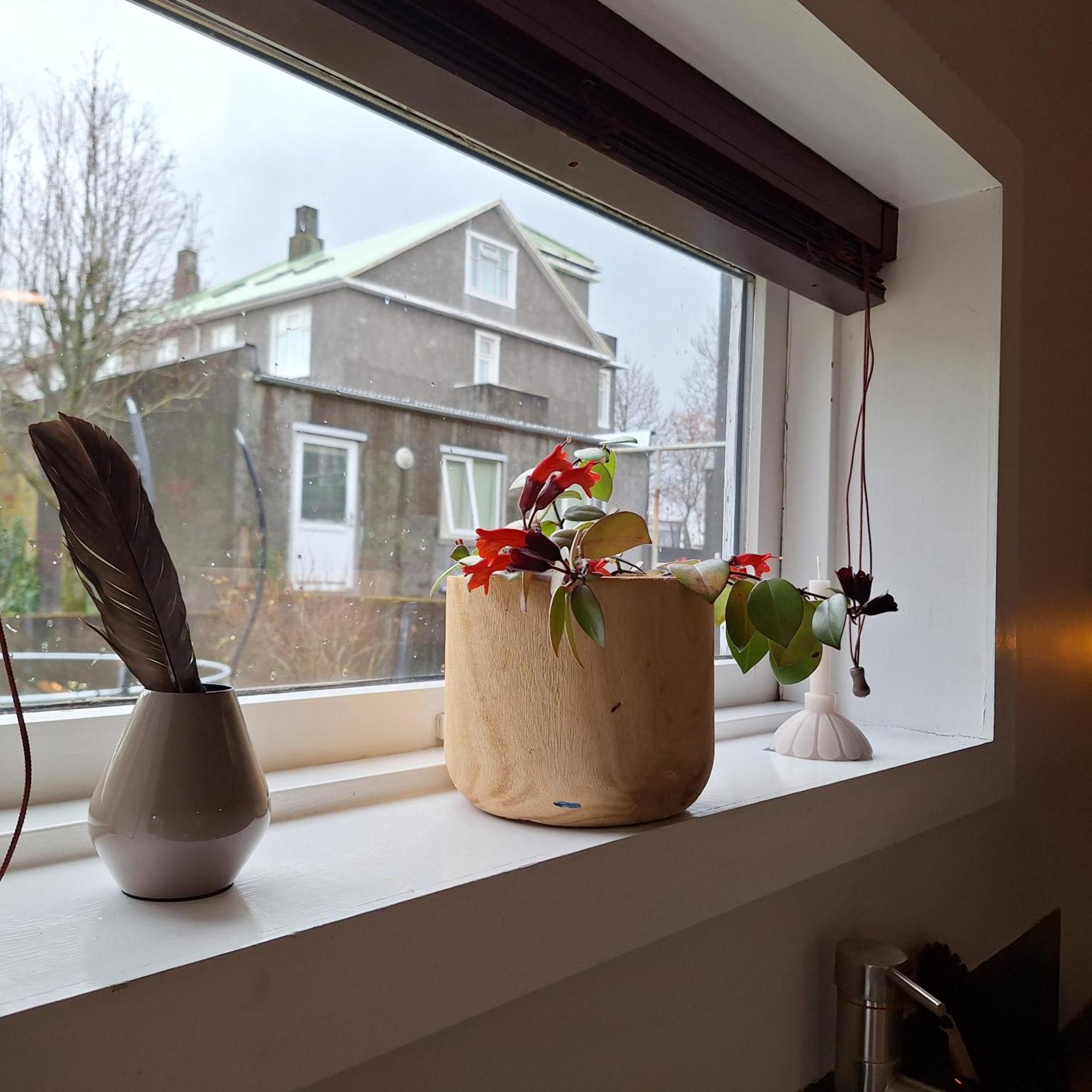 Central Reykjavik - Garden Cottage Bagian luar foto